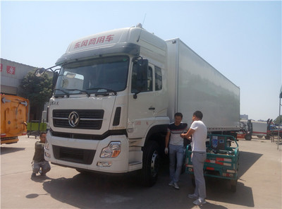 東風(fēng)天龍9米6后八輪冷藏車 國五標(biāo)準(zhǔn)、性能參數(shù)與市場價(jià)值解析