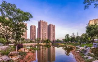 遂寧房價是否迎來轉折？河東拍出兩宗住房用地，成交價格出乎意料